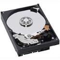 Western Digital 160GB 3.5" 7200RPM SATAII_ Bulk/ OEM Hard Drive WD1600AVBS