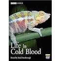 Life in Cold Blood