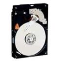 Western Digital RE2 Enterprise 500 GB Bulk/ OEM Hard Drive 3.5 Inch, 16 MB Cache, 7200 RPM SATA II WD5001ABYS