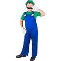 Childs Luigi Mario Brothers Costume (Large 12-14)