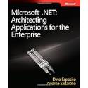 Microsoft .NET: Architecting Applications for the Enterprise (PRO-Developer)
