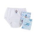 Disney Girls 4-8 3 Pack Disney Princess Panties
