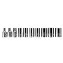 Evolv 10 pc. 1/ 4-in. Drive Socket Set Metric - 10038