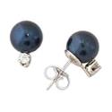 7 - 7.5mm Cultured Round Black Pearl and .10ct Diamond Stud Earrings 14K Gold