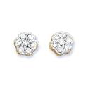 10K Yellow Gold 1/ 4 ct. Diamond Cluster Earrings