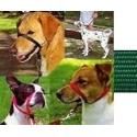 Gentle Leader Head Collar - Large - Green