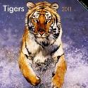 Calendar 2008: Tigers