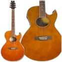 Washburn EA9F Festival Flame Top Acoustic Electric Guitar