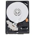 Western Digital 250 GB Caviar Blue SATA 7200 RPM 8 MB Cache Bulk/ OEM Desktop Hard Drive WD2500AAJS