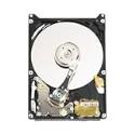 Western Digital WD400BEVS Scorpio Blue 40 GB Bulk/ OEM Hard Drive 2.5 Inch, 8 MB Cache, 5400 RPM SATA