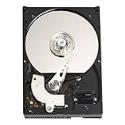 Western Digital 320 GB Caviar Blue PATA 7200 RPM 8 MB Cache Bulk/ OEM Desktop Hard Drive WD3200AAJB
