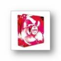 TriCool 120mm Red LED Fan