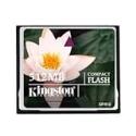 Kingston 1GB Compact Flash Elite Pro CF Card (CF/ 1GB-SFE, Retail Package)