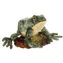Plush Animal: Bull Frog