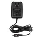 Bragaincell- Premium Home Travel Charger for Nintendo DS Lite